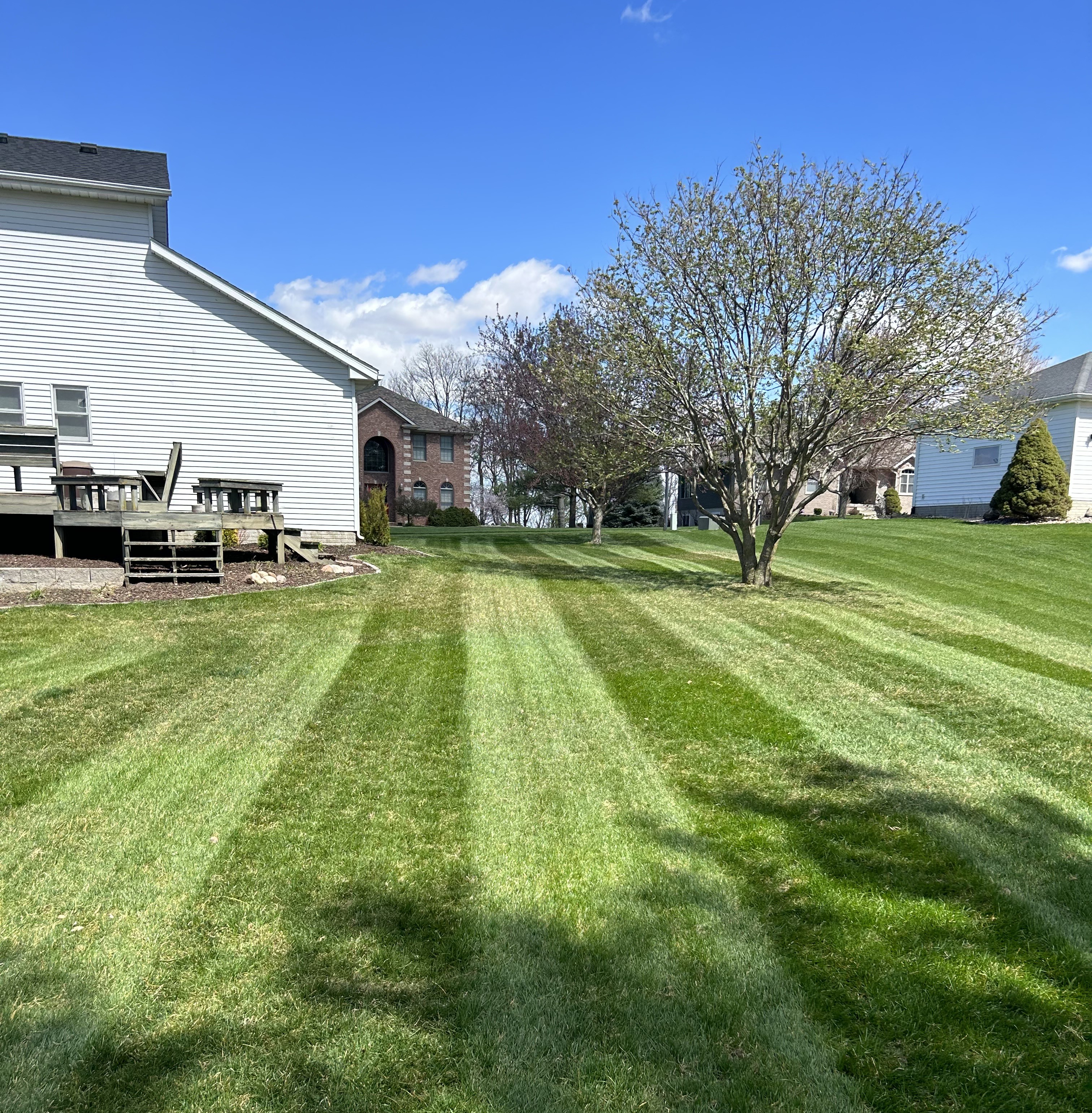 Freshly cut lawn with visible mowing stripes